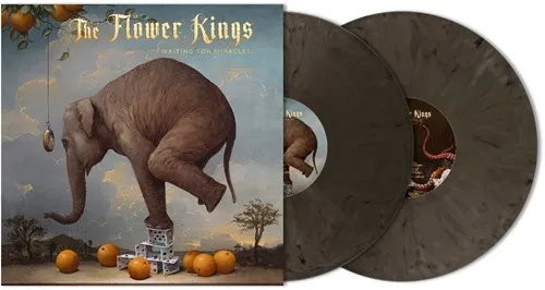 THE FLOWER KINGS / ザ・フラワー・キングス / WAITING FOR MIRACLES: LIMITED BLADE BULLET COLOR DOUBLE VINYL - 180g LIMITED VINYL