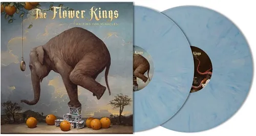 THE FLOWER KINGS / ザ・フラワー・キングス / WAITING FOR MIRACLES: LIMITED BLURBERRY COLOR DOUBLE VINYL - 180g LIMITED VINYL