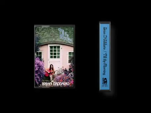 TILL THE MORNING [TAPE]/BRIAN D'ADDARIO｜ROCK / POPS / INDIE