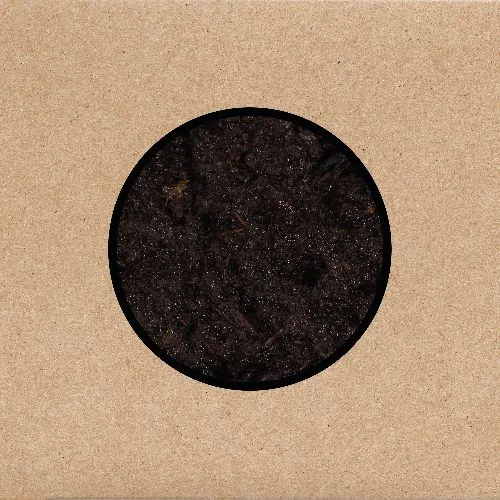 SWANS / スワンズ / BIRTHING (2CD)