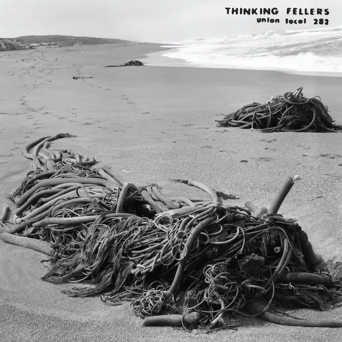 THINKING FELLERS UNION LOCAL 282 / シンキング・フェラーズ