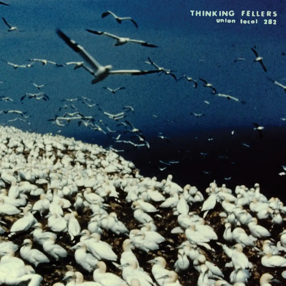 THINKING FELLERS UNION LOCAL 282 / シンキング・フェラーズ・ユニオン・ローカル282 / THESE THINGS REMAIN UNASSIGNED