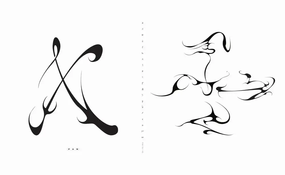 HEITH / X, WHEEL + THE LIARS TELL... [2XLP - BLACK]