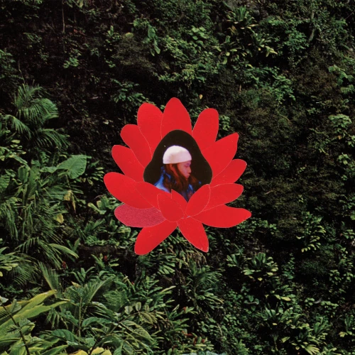 LIONMILK / ライオンミルク / When The Flowers Bloom(LP)