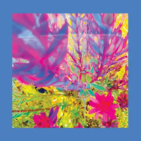 REDS, PINKS AND PURPLES / THE PAST IS A GARDEN I NEVER FED [CD]