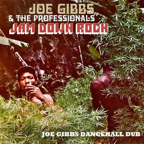 JOE GIBBS & THE PROFESSIONALS / ジョー・ギブス・アンド・ザ・プロフェッショナルズ / JAM DOWN ROCK - JOE GIBBS DANCEHALL DUB