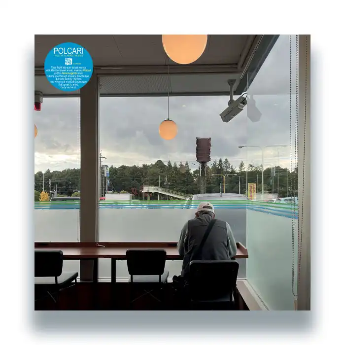 POLCARI / I WILL TRY TO IMITATE THE BIRDS (LP)
