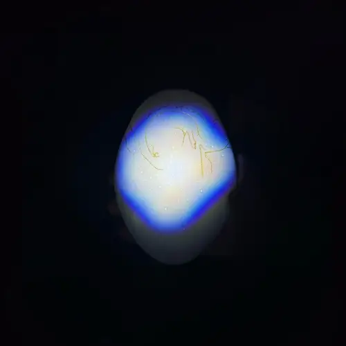DONATO DOZZY & SABLA / MORPHO