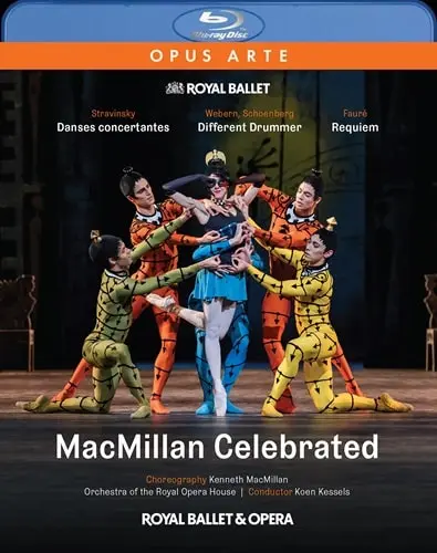 ROYAL BALLET / 英国ロイヤル・バレエ / マクミラン・セレブレイティッド(BD)