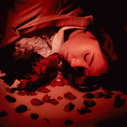 COMING UP ROSES (SINGAPORE) / HOW DID WE FALL SO FAR? (CD)