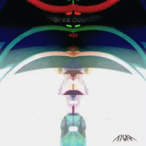 灸夏 / What See??