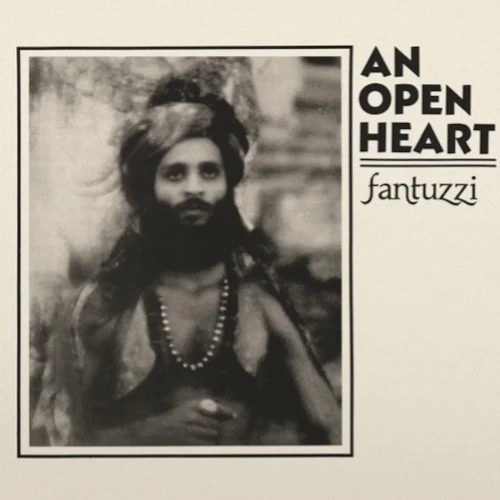 FANTUZZI / Open Heart(LP)