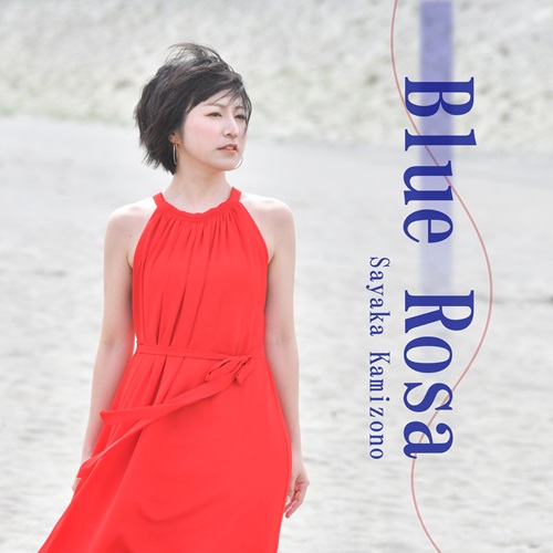SAYAKA KAMIZONO / 神園さやか商品一覧｜JAZZ｜ディスクユニオン