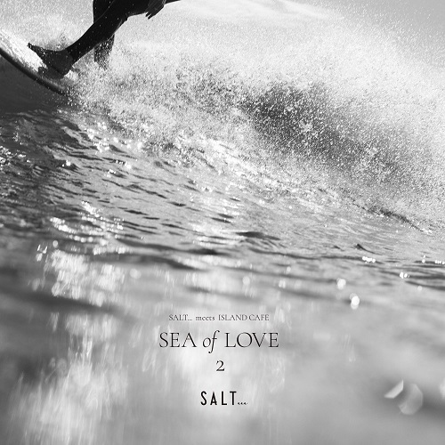 【新品未開封】【レコード】 SALT... meets  CAFE dd0c083d07a46ecb189f6ecb83bcfa