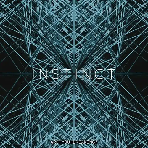 INSTINCT (BURNSKI) / ARE YOU DREAMING? (2XLP)