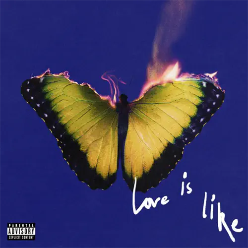MAROON 5 / マルーン5 / LOVE IS LIKE? [STANDARD CD]