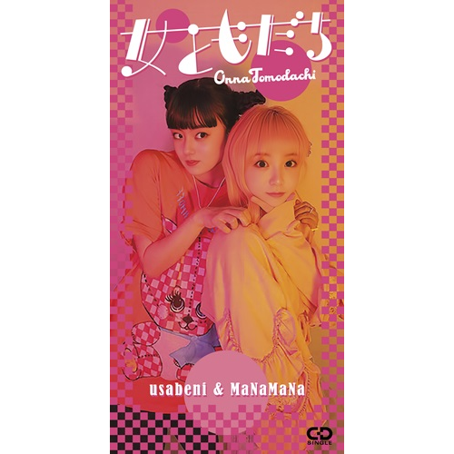 廃盤 DVD 襟裳岬(´75日活) 解説リーフレット付き DVD