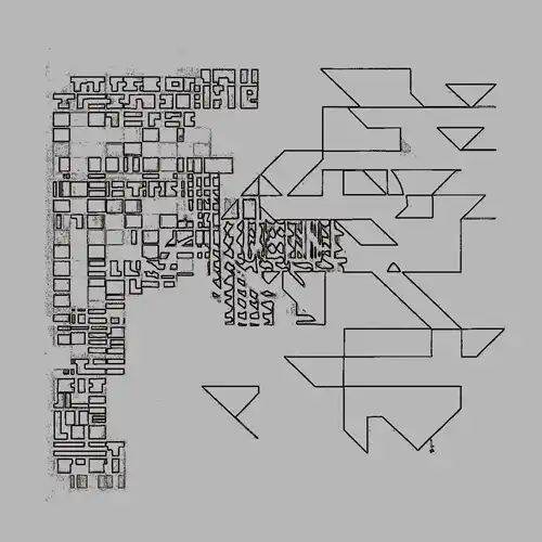 NZO / COME ALIVE (LP)