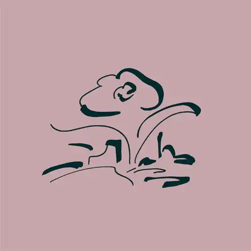 LULLATONE / Music for My Friend's Flower Shop(CASSETTE)