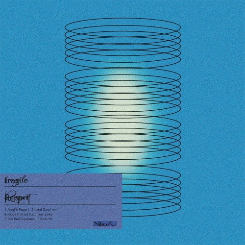 Nikoん / fragile Report
