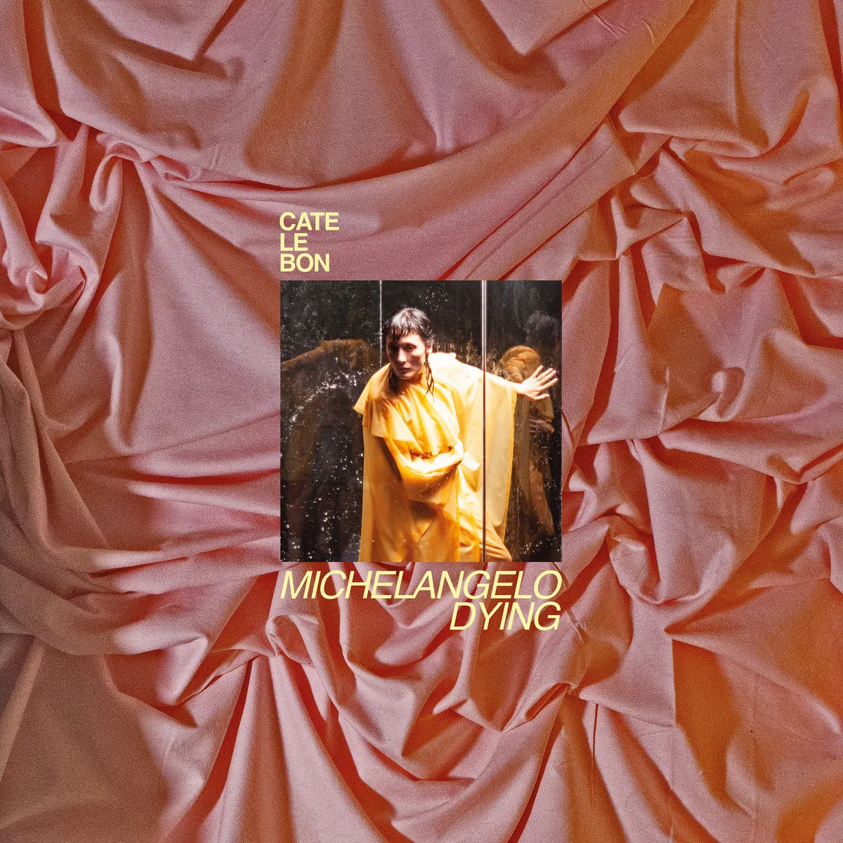 CATE LE BON / ケイト・ル・ボン / MICHELANGELO DYING [CD]