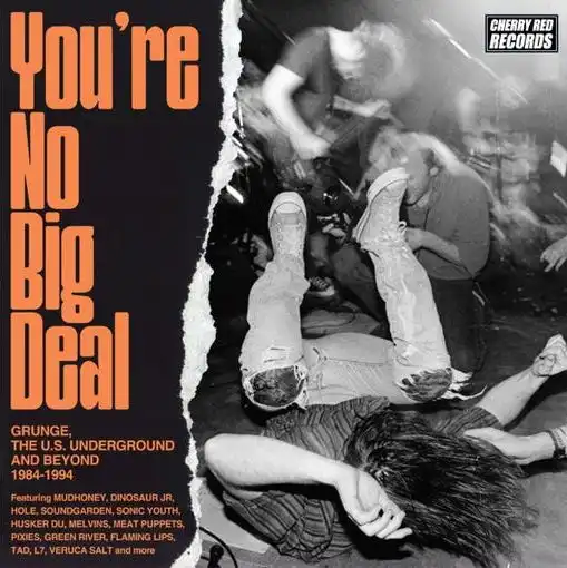 V.A. (ROCK / POPS) / YOU'RE NO BIG DEAL - GRUNGE, THE U.S. UNDERGROUND AND BEYOND 1984-1994 4CD CLAMSHELL BOX