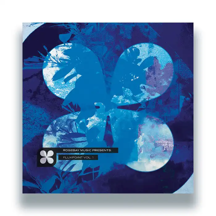 SUBMORPHICS / FLUXPOINT VOL 1 - KYLE HALL REMIX
