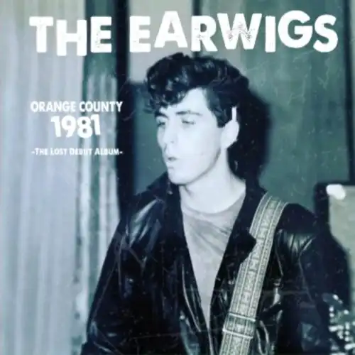 GARAGE PUNK / R&R｜PUNK｜ディスクユニオン・オンライン
