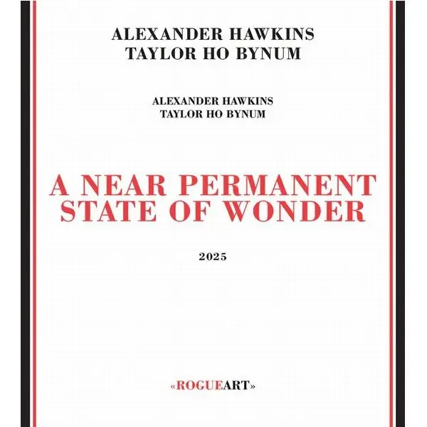 ALEXANDER HAWKINS & TAYLOR HO BYNUM / Near Permanent State Of Wonder