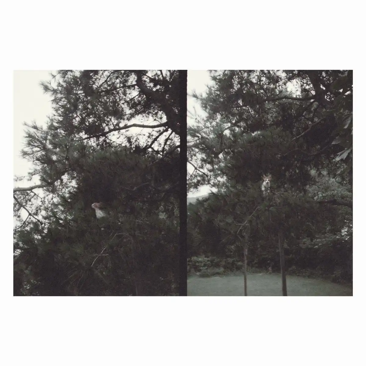 OKKYUNG LEE / JUST LIKE ANY OTHER DAY (어느날) : BACKGROUND MUSIC FOR YOUR MUNDANE ACTIVITIES [LP - BLACK]