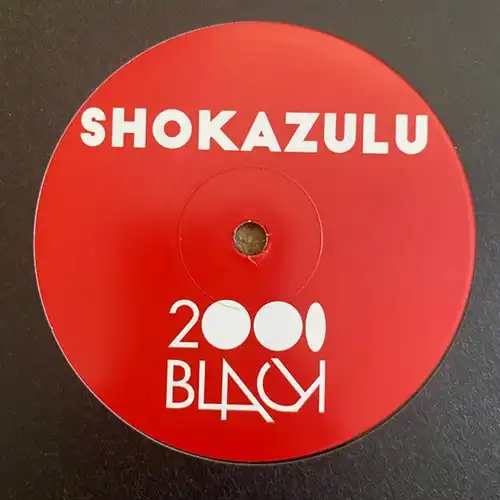 SHOKAZULU / NAVIGATE YOUR SOUL / PEACE TO THE PUZZLE