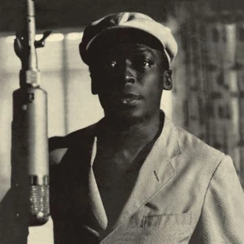 MILES DAVIS / マイルス・デイビス / Musings Of Miles(LP/180G)