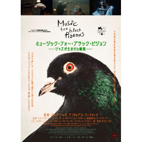 JAKOB BRO / ヤコブ・ブロ / Music for Black Pigeons / ミュージック・フォー・ブラック・ピジョン ――ジャズが生まれる瞬間――(DVD)