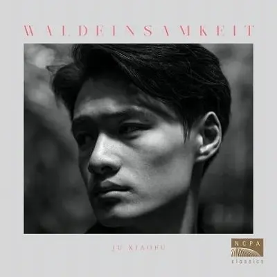 JU XIAOFU / ジュ・シャオフー / WALDEINSAMKEIT