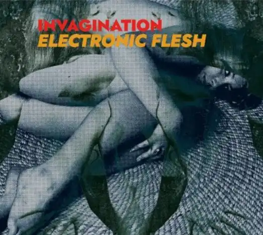 INVAGINATION / ELECTRONIC FLESH