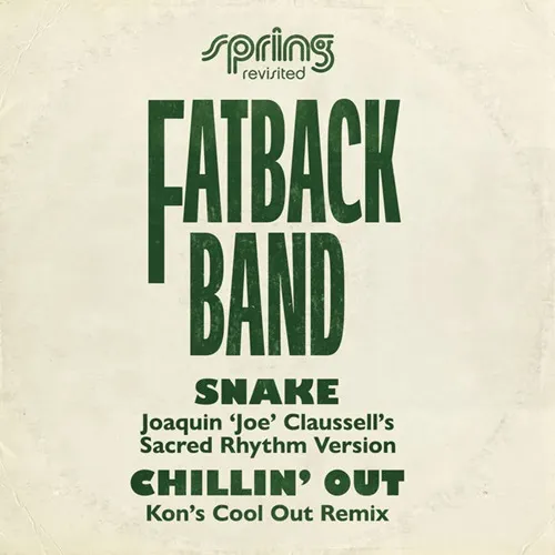 FATBACK BAND / ファットバック・バンド / SNAKE / CHILLIN' OUT (SPRING REVISITED MIXES) (12")