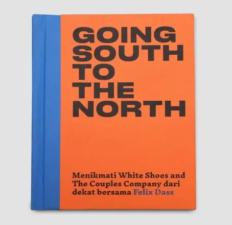 FELIX DASS / フェリックス・ダス / GOING SOUTH TO THE NORTH