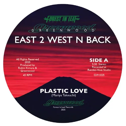 GREENWOOD / グリーンウッド / PLASTIC LOVE / YOUR EYES (7")