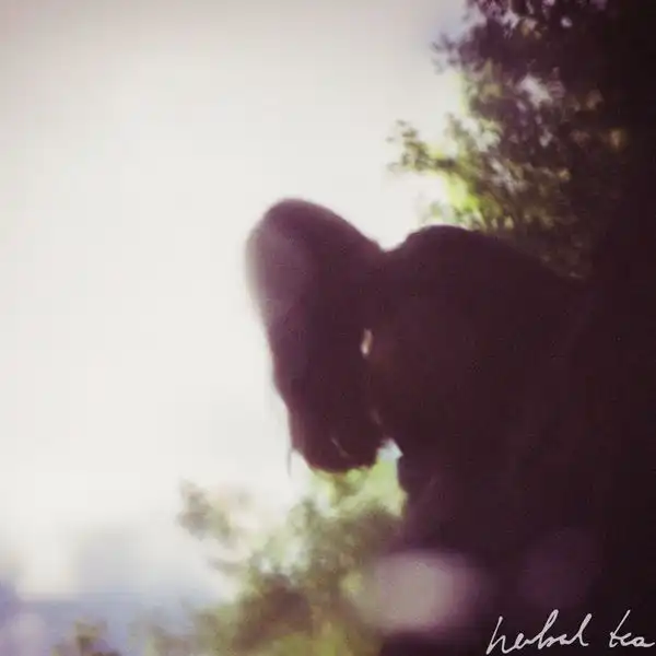 HERBAL TEA / HEAR AS THE MIRROR ECHOES [LP]