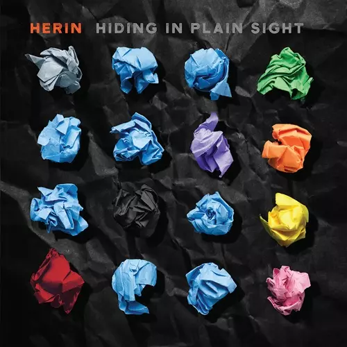 HERIN / HIDING IN PLAIN SIGHT: LIMITED DOUBLE VINYL - 180g LIMITED VINYL