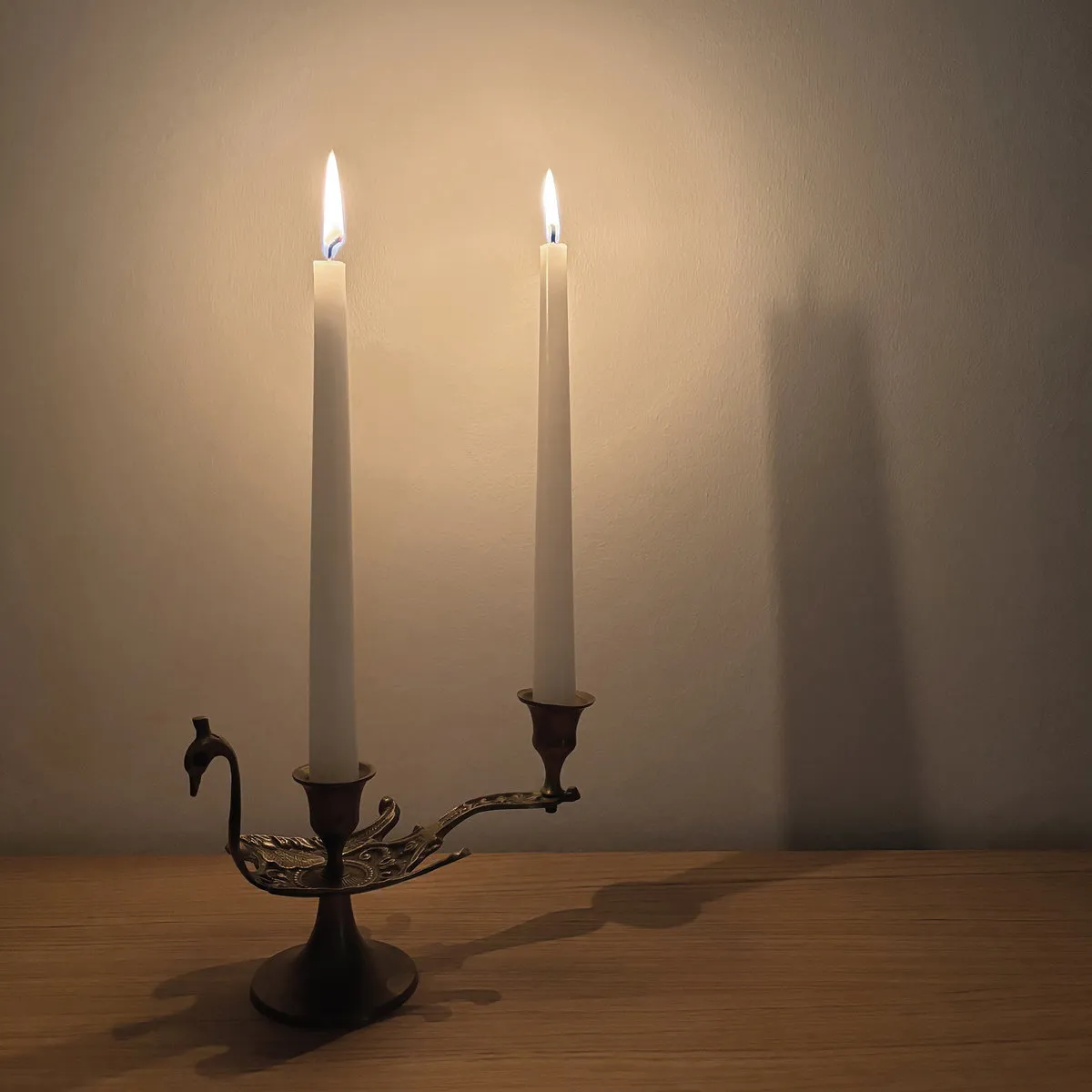 FATEN KANAAN / DIARY OF A CANDLE