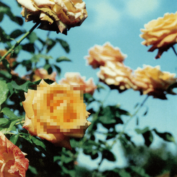 globe / Relation(2LP)