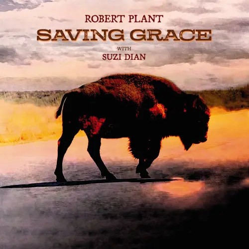 ROBERT PLANT / ロバート・プラント / SAVING GRACE (BLACK VINYL)