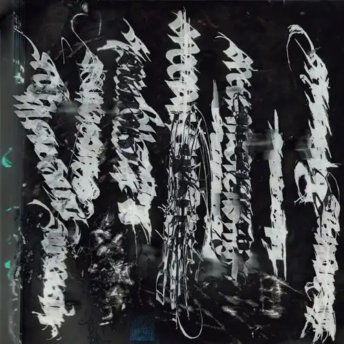 SPECIAL GUEST DJ / OUR FANTASY COMPLEX (LP)