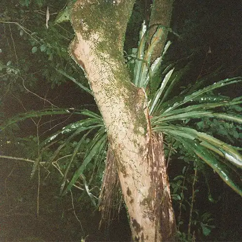 NATURAL SONIC/YOSHIAKI OCHI/越智義朗/流木を叩く、水面を叩く、地球