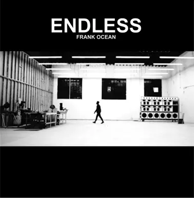 新品LP２枚組 FRANK OCEAN フランク・オーシャン　レア FRANK OCEAN / フランク・オーシャン商品一覧｜ROCK / POPS