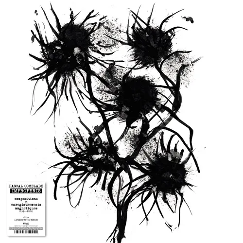 PASCAL COMELADE / パスカル・コムラード / IMPROPERIS - COMPOSITIONS ET ENREGISTREMENTS MAGNETIQUES (1984-2024): 500 COPIES LIMITED 6LP BOXSET