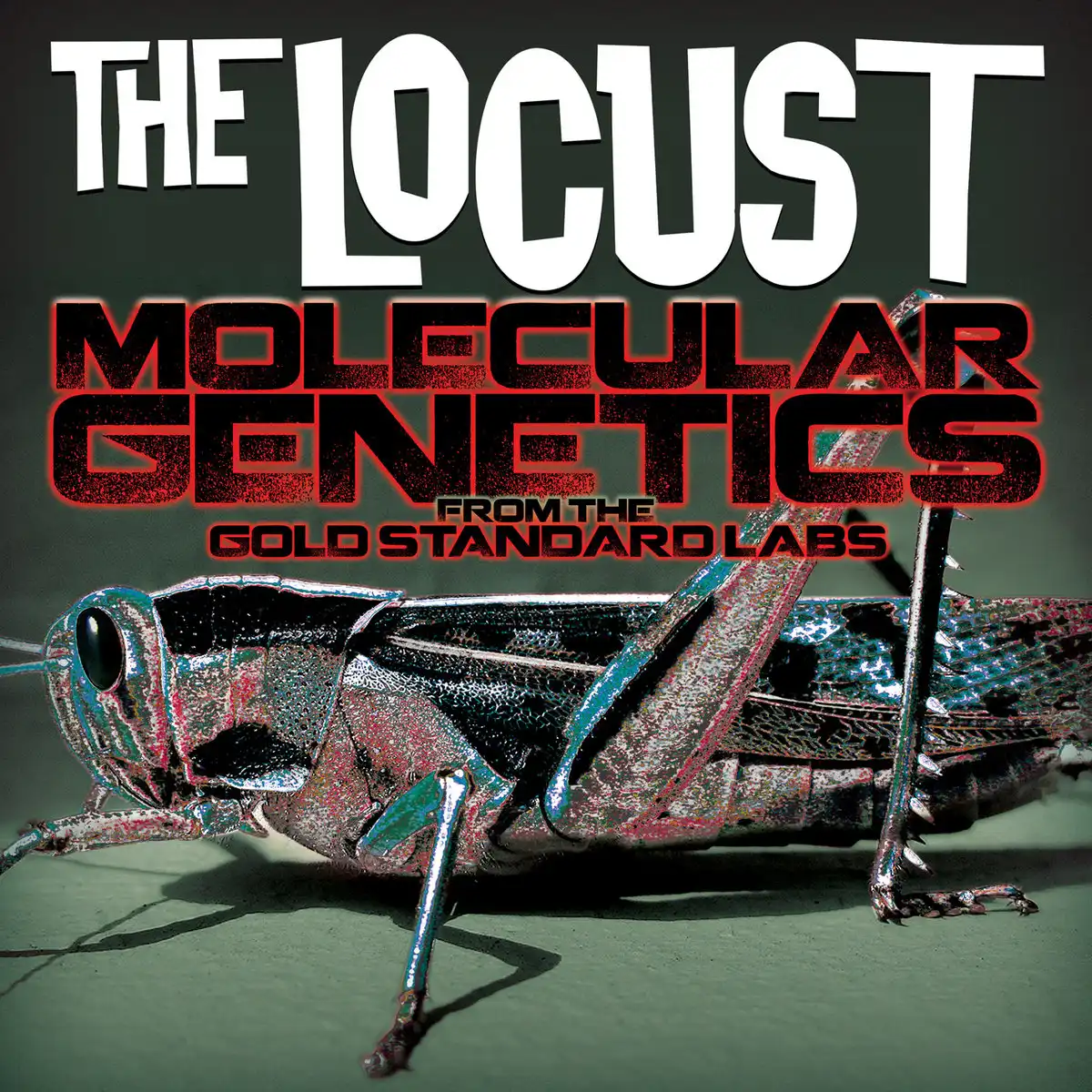 LOCUST / ロカスト商品一覧｜PUNK｜ディスクユニオン・オンライン