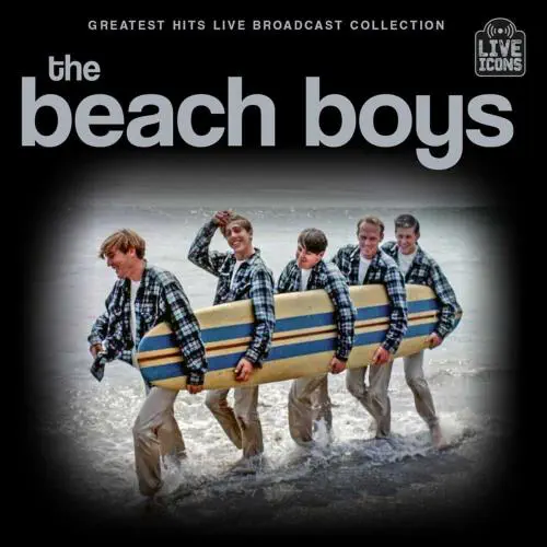 BEACH BOYS / ビーチ・ボーイズ商品一覧｜JAPANESE ROCK・POPS