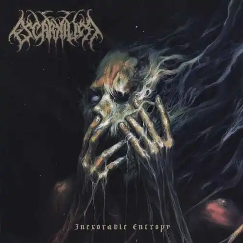 DEATH METAL / GRINDCORE｜HARD ROCK / HEAVY METAL｜ディスク